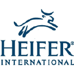 HEIFER