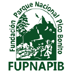 FUPNAPIB